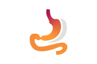 Sleeve Gastrectomy (VSG)